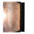 Thedosia Steel Flush Mounted Sconce