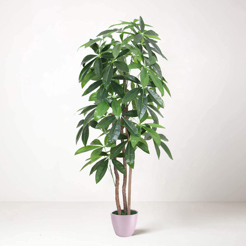 Faux Forsythia Plant in Planter, Pink, 150cm H x 75cm W x 20cm D