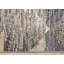 Tapis beige Cleda-622015441