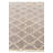 Iverson Light Gray Rug
