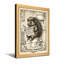 Bath & Laundry Porcupine lisant un journal sur une toilette-751350913-751350925-751350924