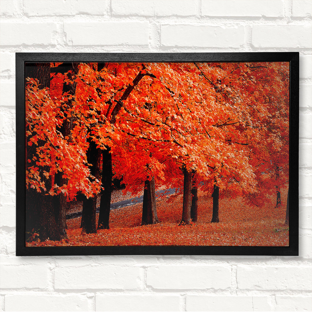 Beautiful Autumn Orange Leaves - Closed Corner Frame Kunstdrucke auf Holz