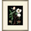 White Floral On Black 3 Painting