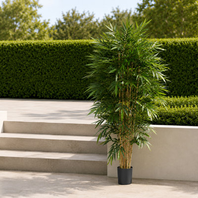 180cm Faux Bamboo Tree in Pot Liner