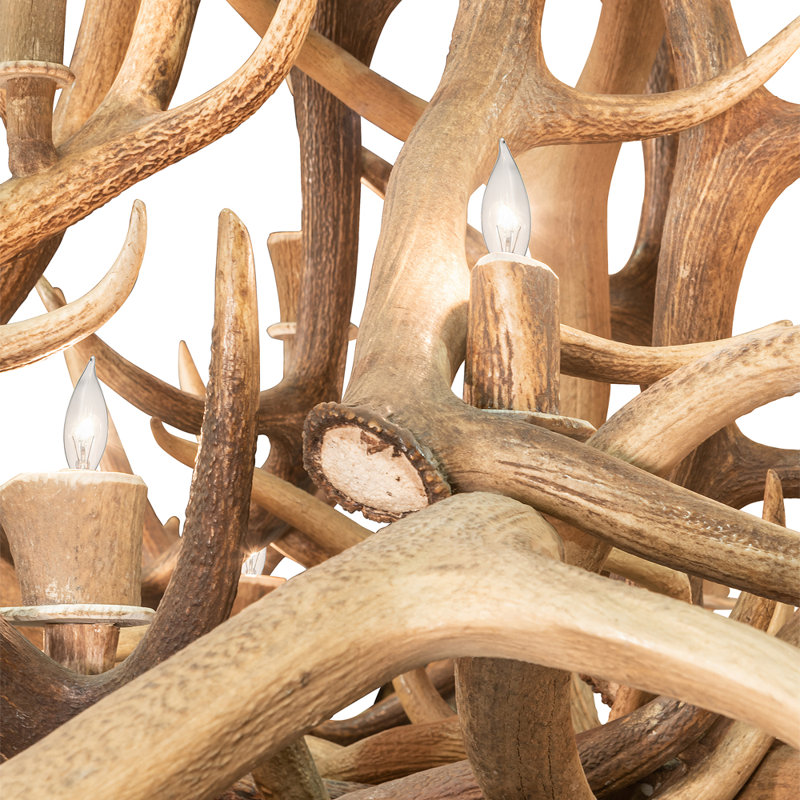 Rustic Lodge 20 - Light Chandelier