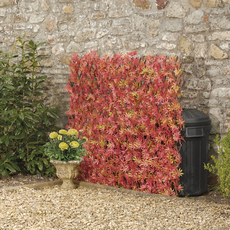 Arlogh 200cm H x 100cm W Expanding Trellis
