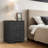 Blaklee Modern 23.7" 2-Drawer Nightstand-494080699-508339041
