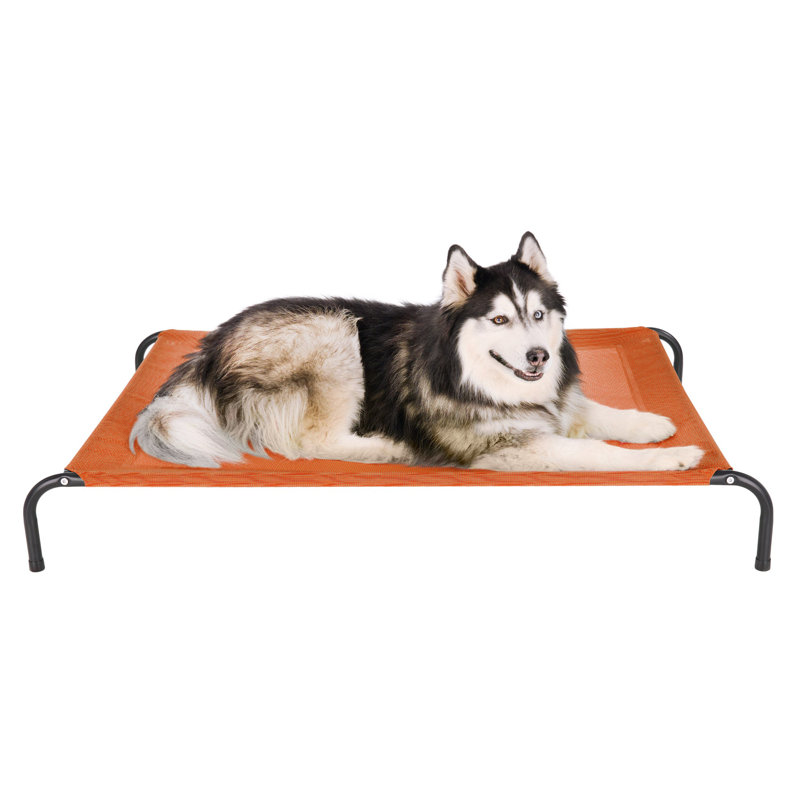 Elevated Cot Pet Bed, Red, 8" H x 36" W x 54.5" D