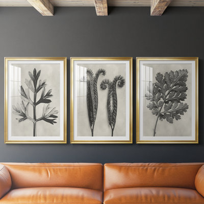 Blossfeldt Botanical I - reproduction sur mesure encadrée de qualité supérieure - 3 pièces