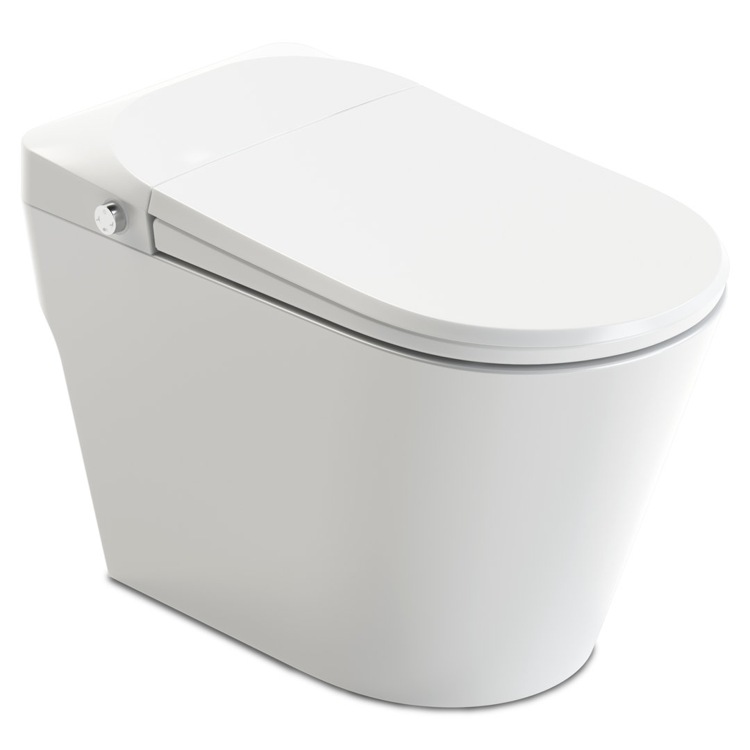 ANZZI Echo 1.28 GPF Elongated Floor Mounted Bidet Toilet (Seat Included) ANZZI