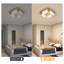 4 - Light 32cm LED Acrylic Flush Mount