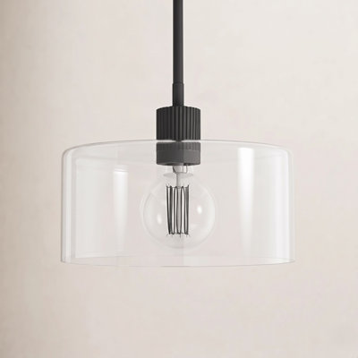 Mulaney Single Light Glass Steel Dimmable Pendant