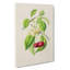 Illustration of Cherries - Wrapped Canvas-55304259