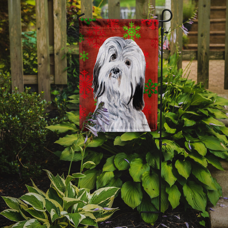 Drapeau rouge et vert Vart, Bichon havanais