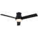 Amici Modern 48'' Flush Mount Ceiling Fan with LED Lights and Remote Control