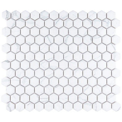 Carrione 1" Hex 10-1/4" x 11-7/8" Porcelain Mosaic Tile