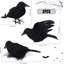 Halloween Decoration