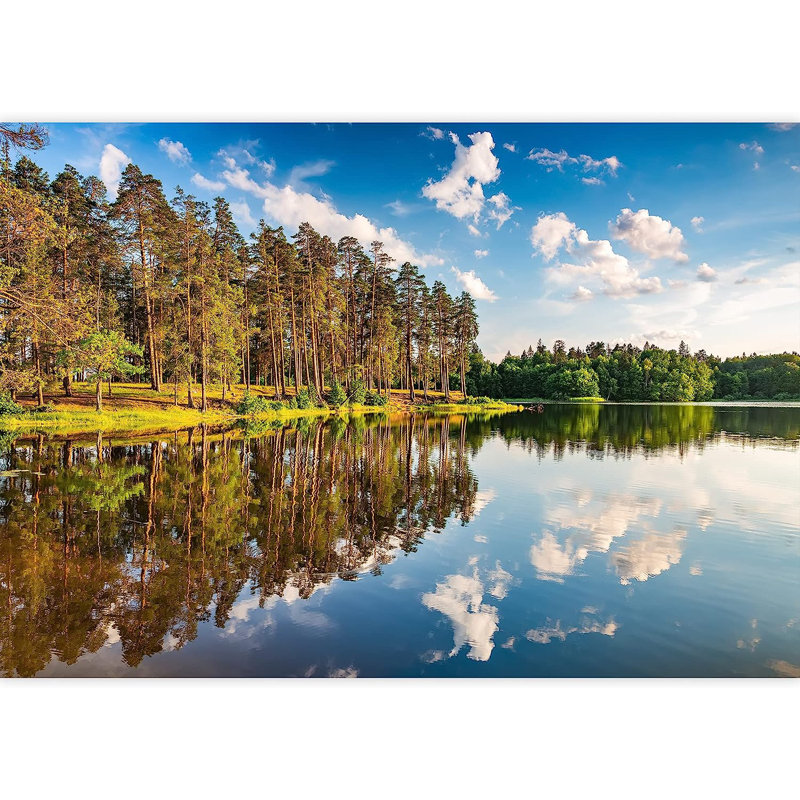 Adhésif peint à la main magnifique lac de la forêt au coucher du soleil, L 100 po x l 144 po