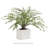 LOLA SQUARE CACHEPOT LARGE