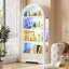 Display Cabinet-560402317