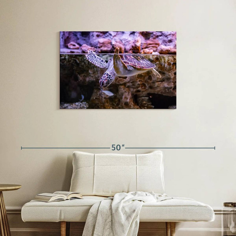 Brampt Turtle Aquarium, 24" H x 36" W