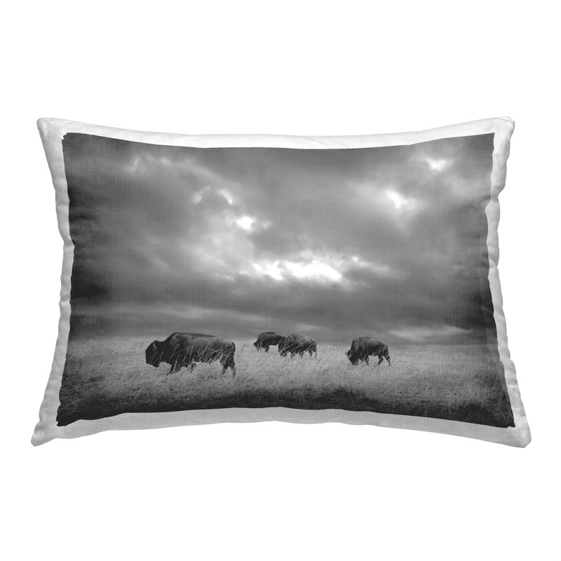 Coussin décoratif