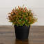 6 po Herbe artificielle en pot noir - ensemble de 2-557430274
