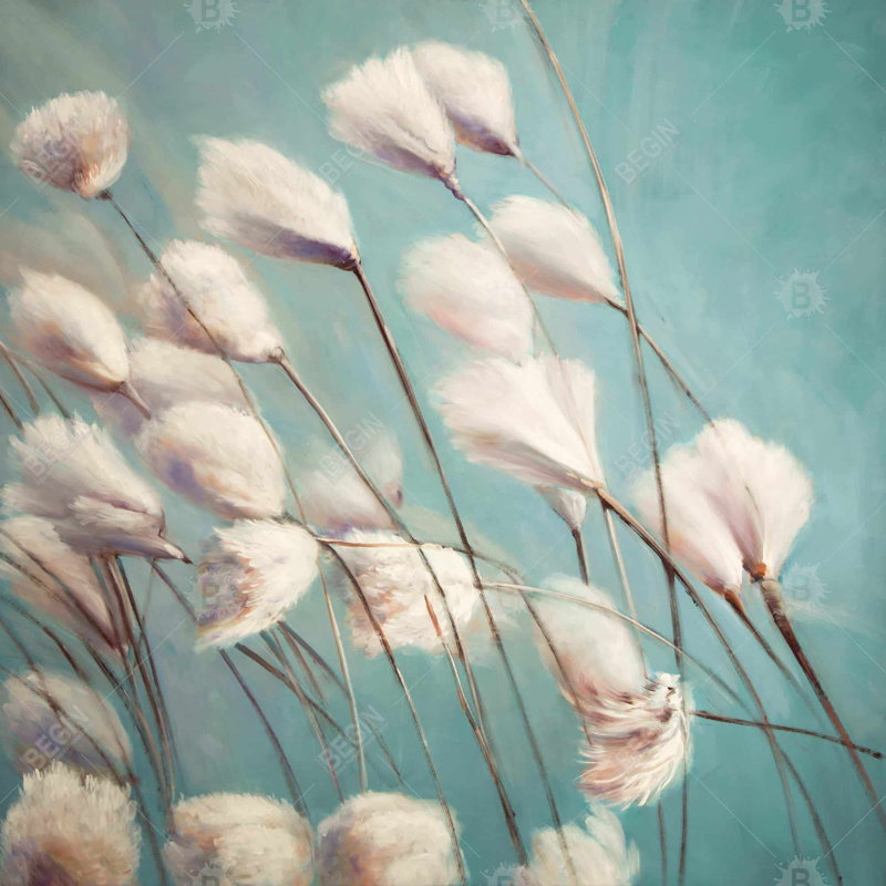 "Fleurs de coton dans le vent"