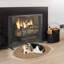 1 Panel Iron Fireplace Screen