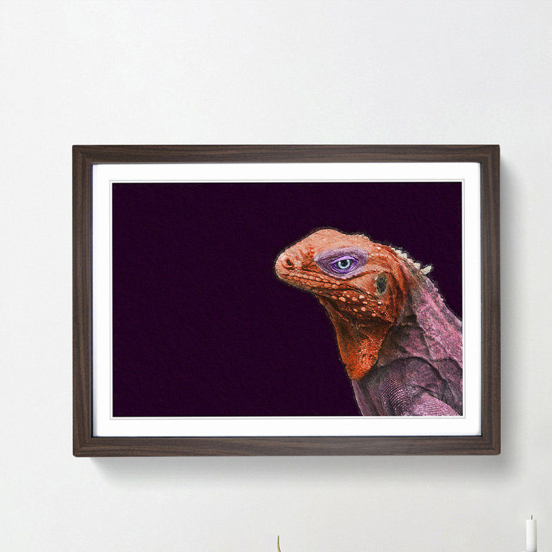 Red & Purple Iguana Lizard - Picture Frame Photograph Print, 48cm H x 65cm W x 2cm D, Walnut Framed
