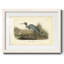Audubons Blue Heron-1958654934-1958654935