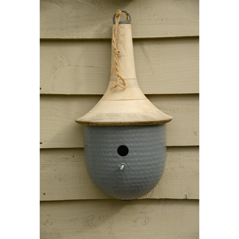 Novelty Mounted Bird House