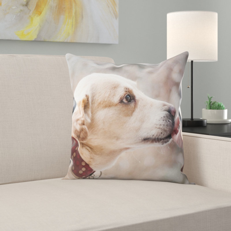 Coussin pour chien