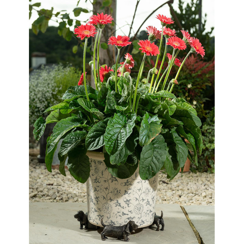 Mairead Weather Resistant Planter Feet