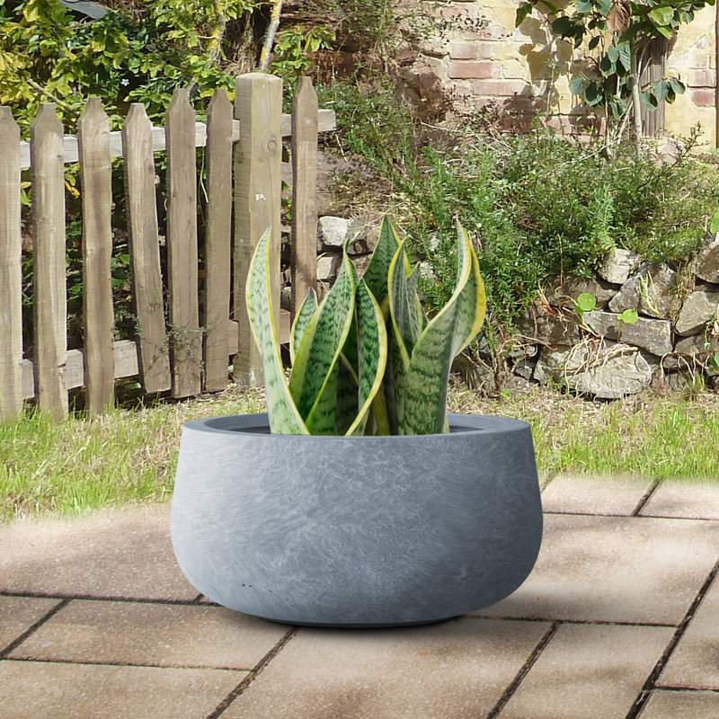 Pot à fleurs en béton Dovenby, H 6 po x l 12 po x P 12 po, Coment