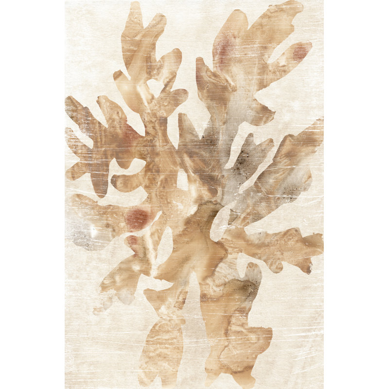 Parchment Coral IV by June Erica Vess - Painting on Canvas, 30cm H x 20cm W, Wrapped Canvas