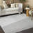 Ebern Designs Care Free Light Grey Modern Indoor Rug-669177263