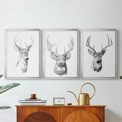 Young Buck Sketch I  -Custom Framed  Wrapped Gallery Canvas - 3 Pieces