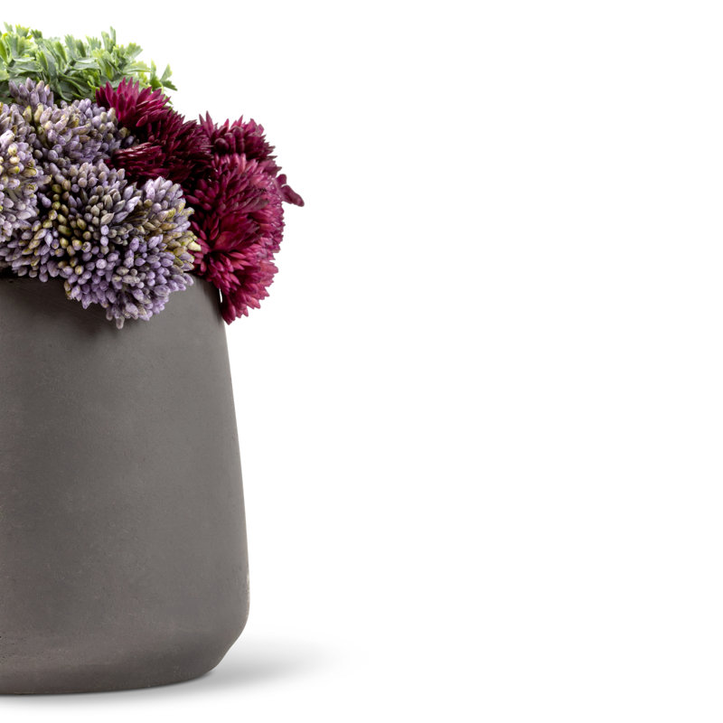Leigh Sedum Arrangement