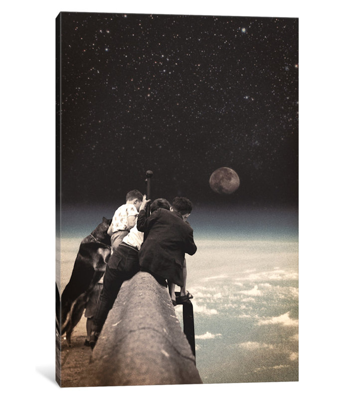 «Curiosity», impression sur toile, H 40 po x l 26 po x P 1,5 po, Toile tendue, Pas de tapis