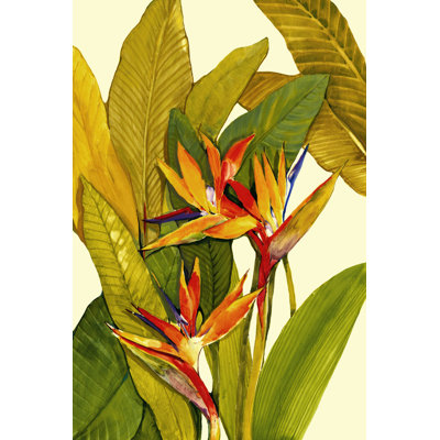 Tropical Bird Of Paradise 1 Piece Wrapped Canvas Painting