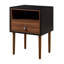 Litzy End Table