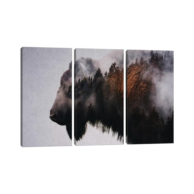 Bison