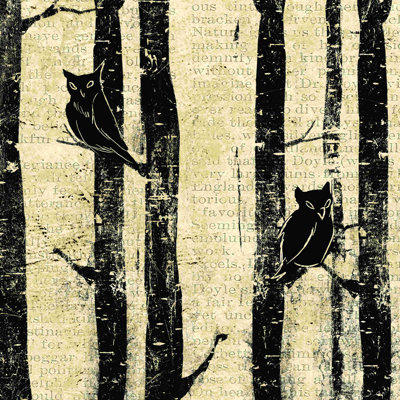 " In The Dark Of The Night Owl Be Here "