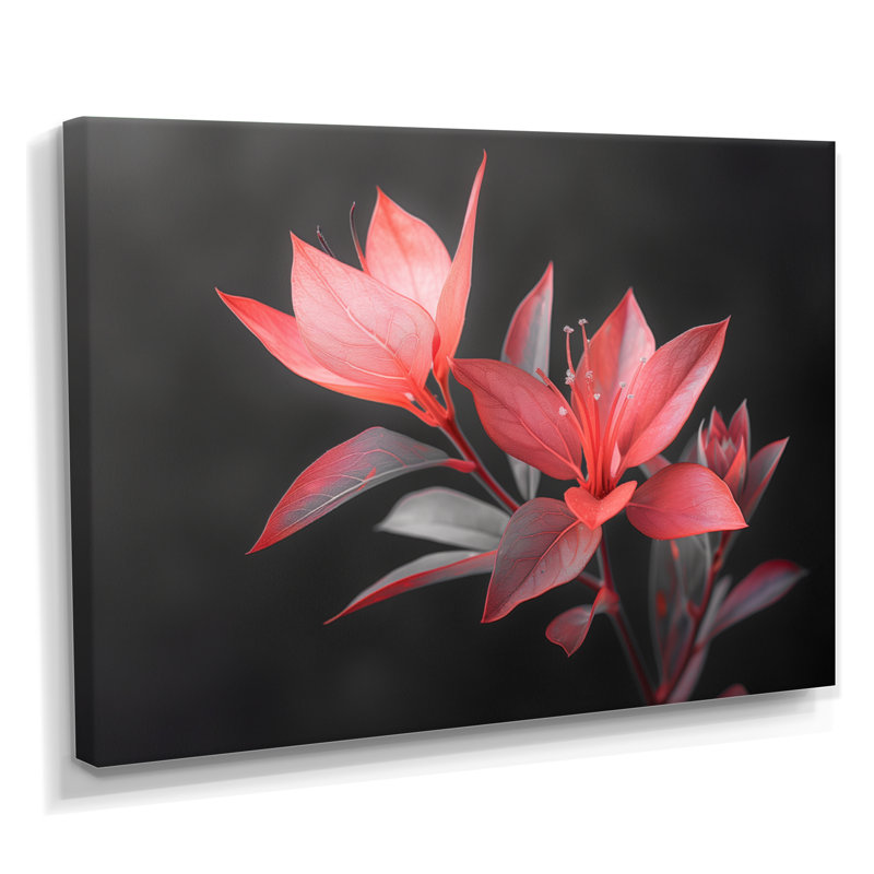 Palmea - Hibiscus, reproduction d'art murale, 12" H x 20" W x 1" D, Toile tendue