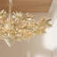Fernanda 8 - Light Chandelier