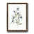 Papier, cadre noyer