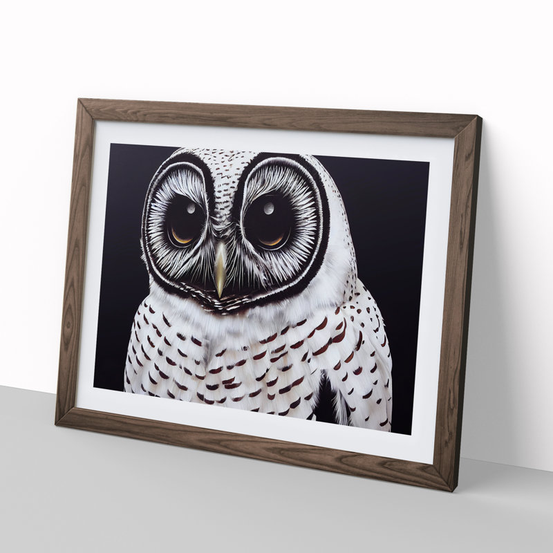 XH1022-8647X Superb Owl - Single Picture Frame Painting, 34cm H x 46cm W x 2cm D, Walnut