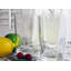 Libellules Highball Glass