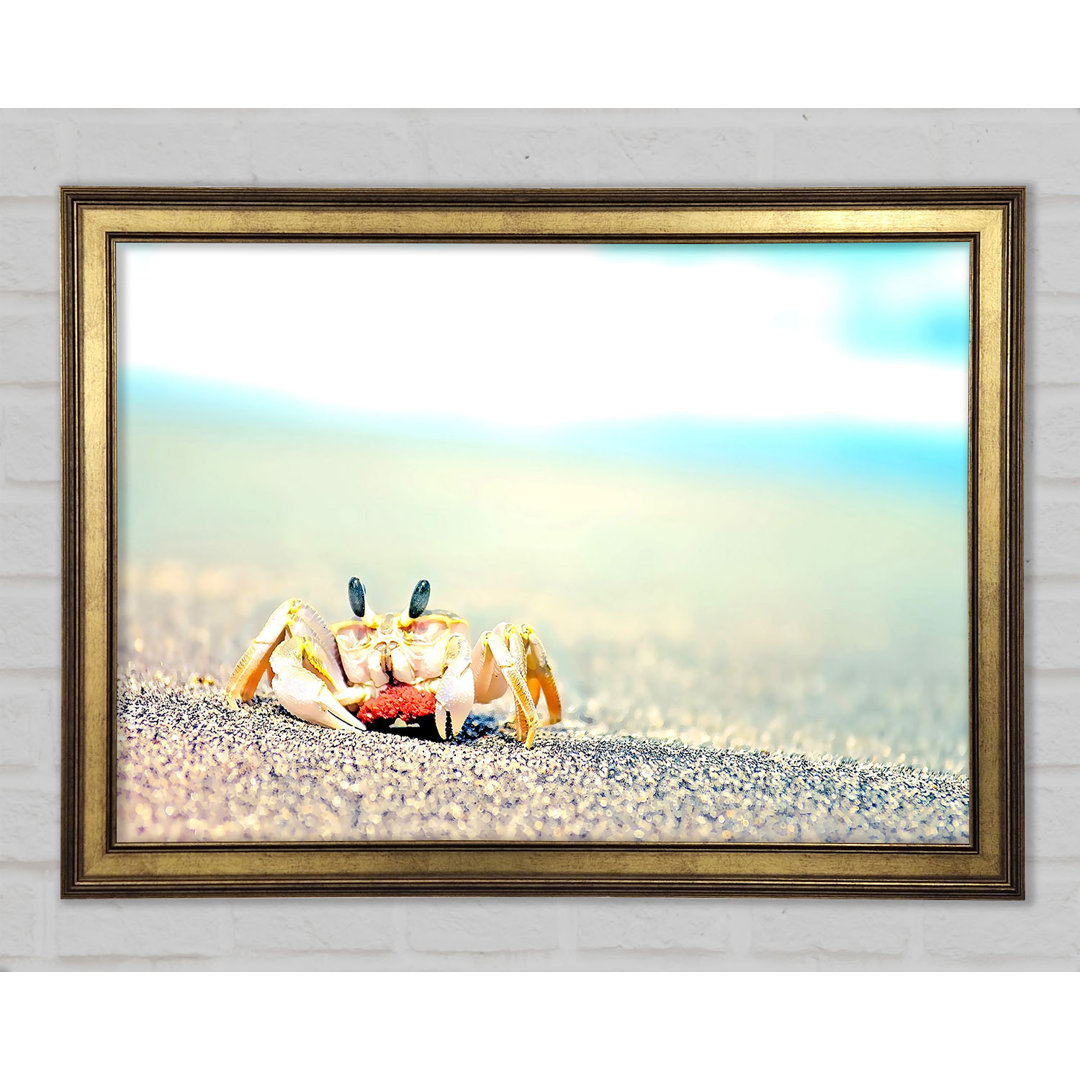 Gerahmtes Bild Lonely Crab